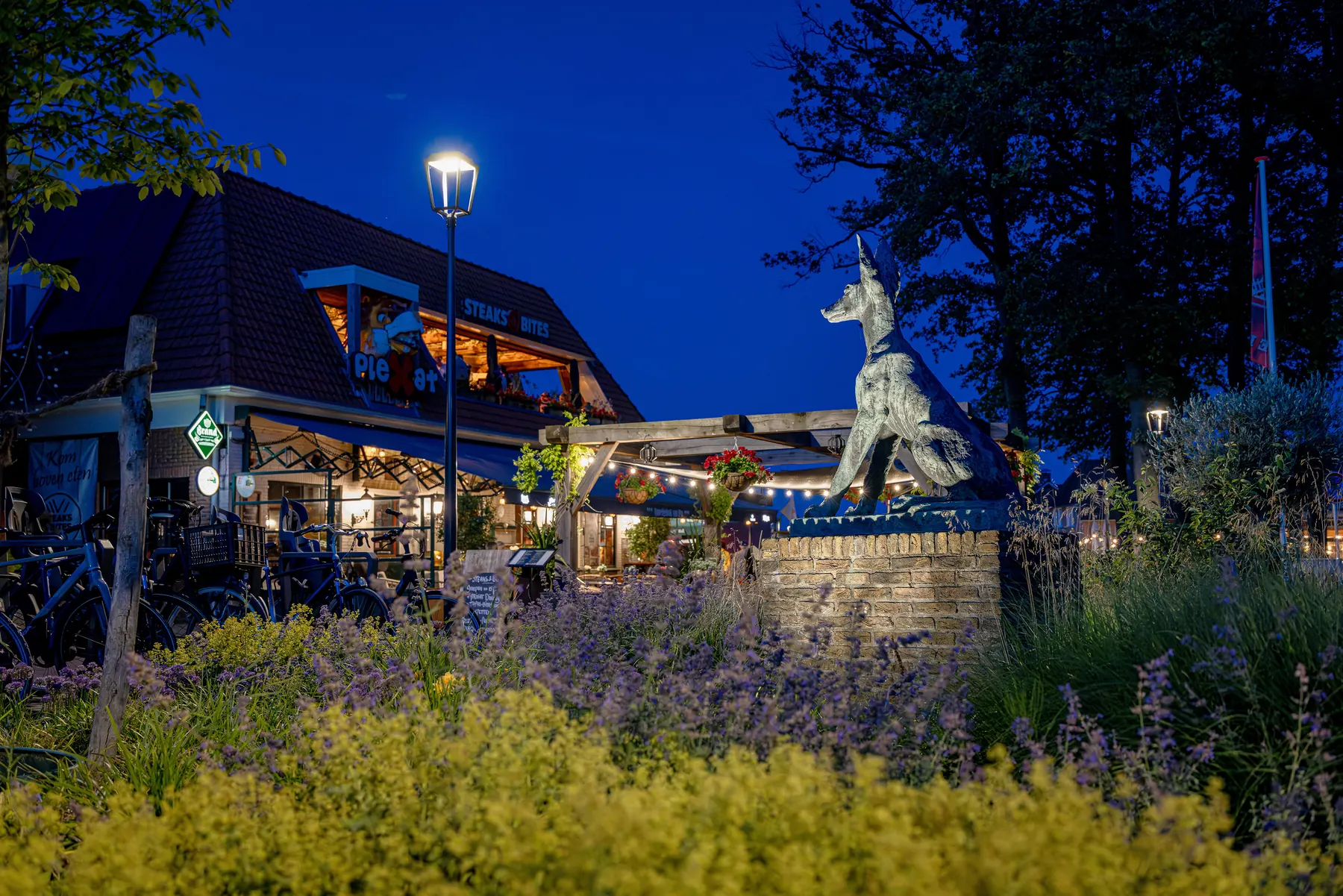 Tuin en terras van Plexat in de avond